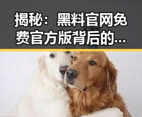 揭秘：黑料 官网免费官方版背后的焦点与分析