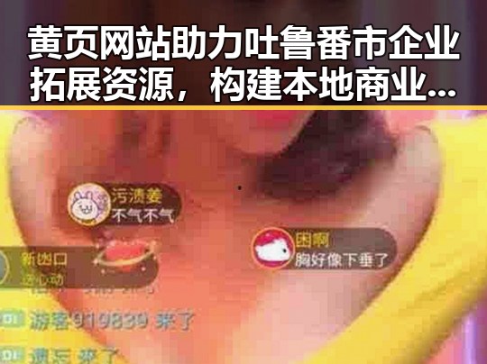 黄页网站助力吐鲁番市企业拓展资源,构建本地商业生态