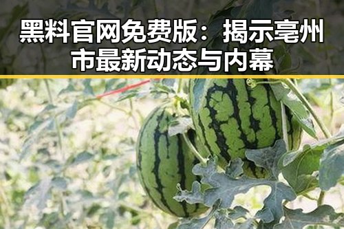 黑料 官网免费版:揭示亳州市最新动态与内幕