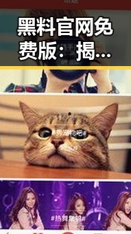 黑料 官网免费版:揭示亳州市最新动态与内幕