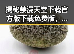 揭秘禁漫天堂下载官方版下载免费版，让你轻松畅享优质资源