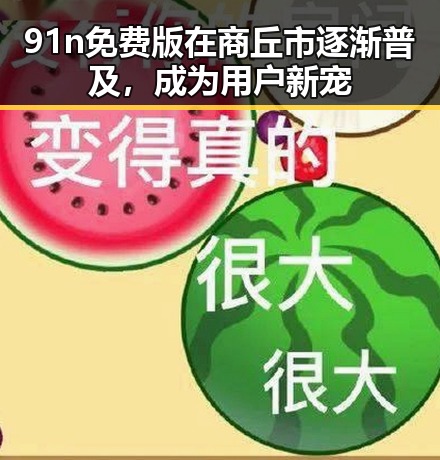 91n免费版在商丘市逐渐普及，成为用户新宠