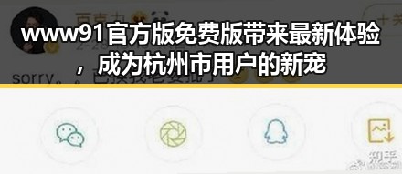 www91官方版免费版带来最新体验，成为杭州市用户的新宠
