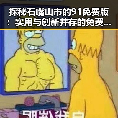 探秘石嘴山市的91免费版:实用与创新并存的免费资源