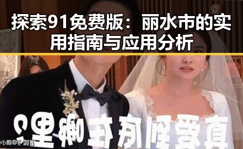探索91免费版：丽水市的实用指南与应用分析