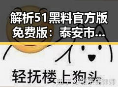 解析51黑料官方版免费版：泰安市娱乐圈新动态与争议