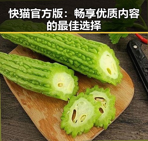 快猫官方版：畅享优质内容的最佳选择