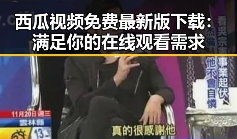 西瓜视频免费最新版下载：满足你的在线观看需求