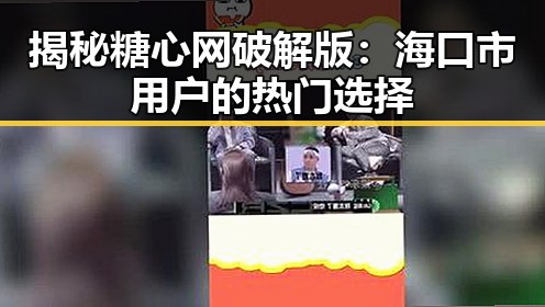 揭秘糖心网破解版：海口市用户的热门选择