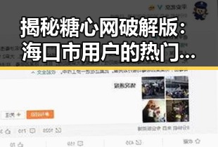 揭秘糖心网破解版：海口市用户的热门选择