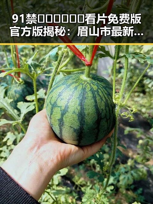 91禁🍆🍑🔞❌❌❌看片免费版官方版揭秘：眉山市最新资源引热议