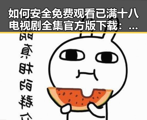 如何安全免费观看已满十八电视剧全集官方版下载：完整指南