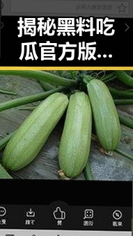 揭秘黑料吃瓜官方版：青岛市明星趣事全记录