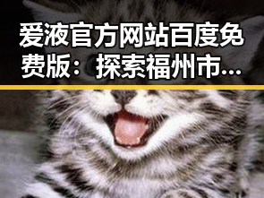 爱液官方网站百度免费版：探索福州市的优质资源
