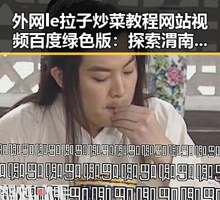 外网le拉子炒菜教程网站视频百度绿色版：探索渭南市的实用指南
