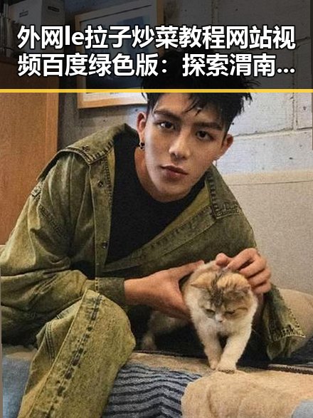 外网le拉子炒菜教程网站视频百度绿色版：探索渭南市的实用指南