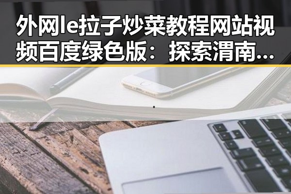 外网le拉子炒菜教程网站视频百度绿色版：探索渭南市的实用指南