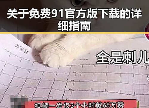 关于免费91官方版下载的详细指南