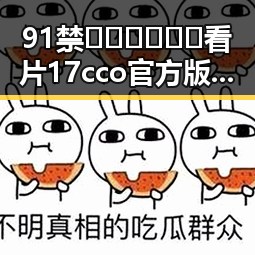 91禁🍆🍑🔞❌❌❌看片17cco官方版：最新动态与现状分析