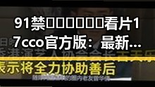 91禁🍆🍑🔞❌❌❌看片17cco官方版：最新动态与现状分析