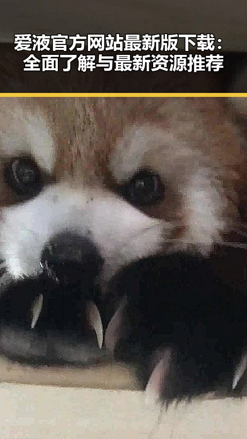 爱液官方网站最新版下载：全面了解与最新资源推荐