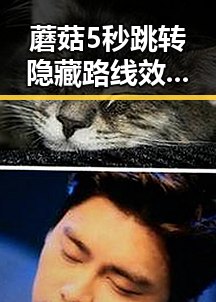 蘑菇5秒跳转隐藏路线效果如何百度安卓版——实测解析