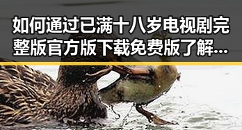 如何通过已满十八岁电视剧完整版官方版下载免费版了解更多情感内容