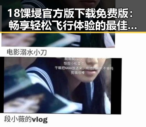 18馃埐官方版下载免费版：畅享轻松飞行体验的最佳选择