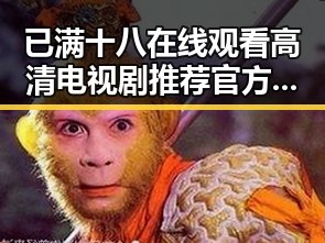 已满十八在线观看高清电视剧推荐官方版：详解娱乐资源新趋势