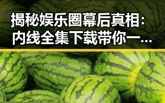 揭秘娱乐圈幕后真相：内线全集下载带你一探明星生活