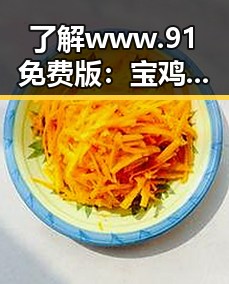 了解www.91免费版：宝鸡市用户的便捷选择