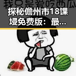 探秘儋州市18馃埐免费版：最新实用指南