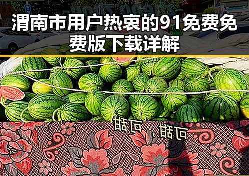渭南市用户热衷的91免费免费版下载详解