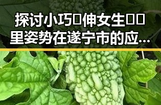 探讨小巧🐥伸女生🍑🍑里姿势在遂宁市的应用与注意事项