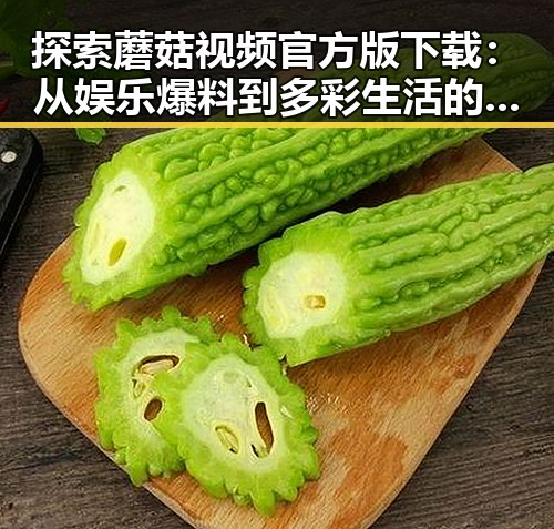 探索蘑菇视频官方版下载：从娱乐爆料到多彩生活的桥梁