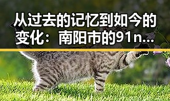 从过去的记忆到如今的变化：南阳市的91n发展轨迹