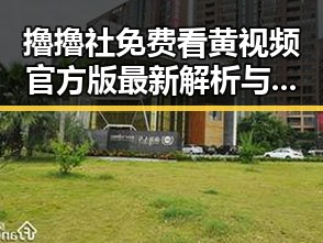 擼擼社免费看黄 视频官方版最新解析与现状