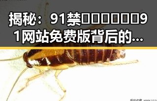 揭秘：91禁🍆🍑🔞❌❌❌91网站免费版背后的真实现状
