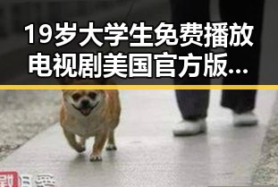 19岁大学生免费播放电视剧美国官方版：探索校园与娱乐的多重体验