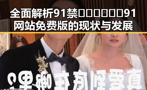 全面解析91禁🍆🍑🔞❌❌❌91网站免费版的现状与发展