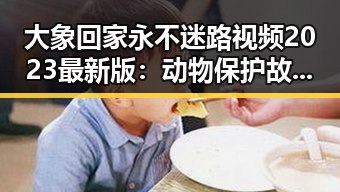 大象回家永不迷路视频2023最新版：动物保护故事的最新感动