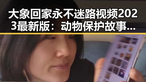 大象回家永不迷路视频2023最新版：动物保护故事的最新感动