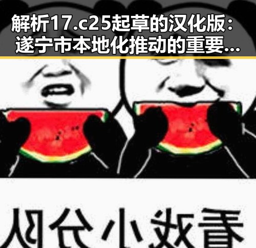 解析17.c25起草的汉化版：遂宁市本地化推动的重要里程碑