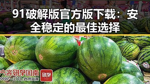 91破解版官方版下载：安全稳定的最佳选择