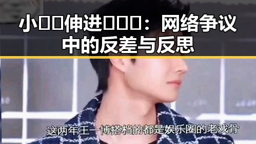 小🐔🐔伸进🈲🔞🔞：网络争议中的反差与反思