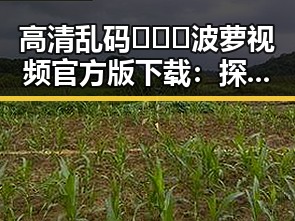 高清乱码🔞❌♋波萝视频官方版下载：探索数字时代的隐秘世界