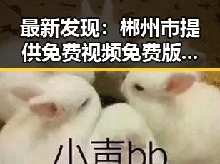 最新发现：郴州市提供免费视频免费版资源，满足大众多样需求