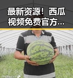 最新资源！西瓜视频免费官方版正版下载，轻松畅享高清内容