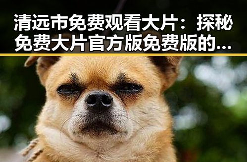 清远市免费观看大片：探秘免费大片官方版免费版的精彩内容
