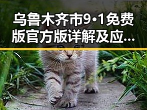 乌鲁木齐市9·1免费版官方版详解及应用指南